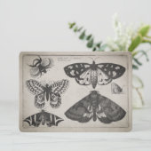 Vintage Motten-Schmetterlings-Bienen-Illustration Einladung (Stehend Vorderseite)