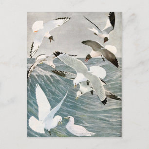 Vintage Möwe Ozean Vogel Strand Sommer Küste Postkarte