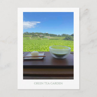 Vintage Mt Fuji Japan Green Tea Postcard Postkarte