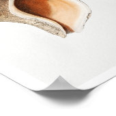 VINTAGE MULLOSCS  (FROM NORTHERN SEAS) POSTER (Ecke)