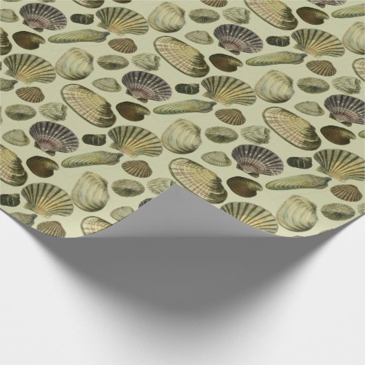 Vintage Muschel Geschenkpapier (Ecke)