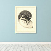 Vintage Muschel Schwarz/Weiß Leinwanddruck (Insitu (Holzboden))