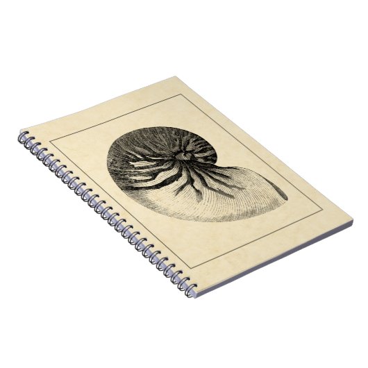 Vintage Muschel Schwarz/Weiß Notizblock (Rechte Seite)