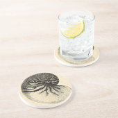 Vintage Muschel Schwarz/Weiß Sandstein Untersetzer (Seite)