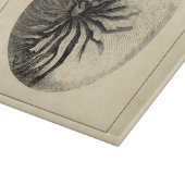 Vintage Muschel Schwarz/Weiß Schneidebrett (Ecke)