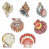 Vintage Muscheln Aufkleber Set (Vorderseite)