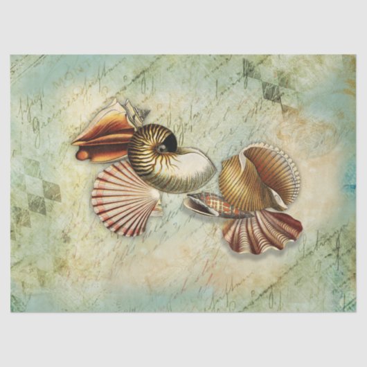 Vintage Muscheln Dekoupage Tissue Paper Seidenpapier (Vorderseite)