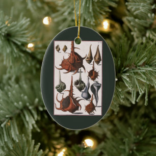 Vintage Muscheln, marines Leben, Muscheln im Ozean Keramik Ornament