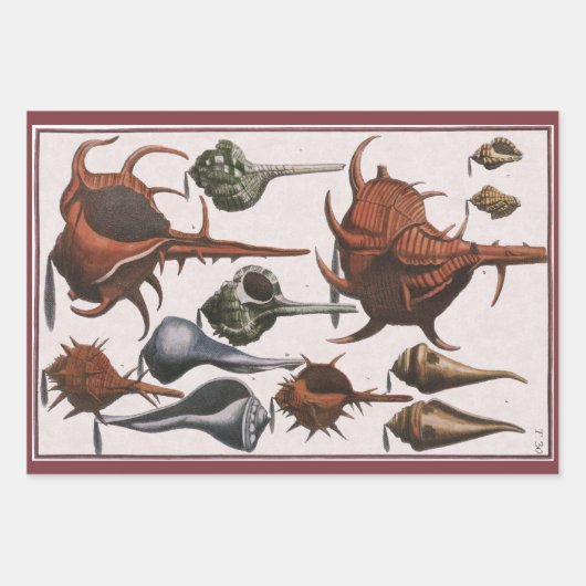 Vintage Muscheln, Meereslebewesen Muscheln Geschenkpapier Set (Vorderseite 2)