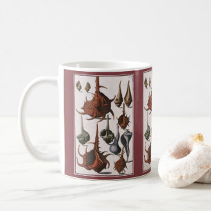 Vintage Muscheln, Meereslebewesen Muscheln Kaffeetasse