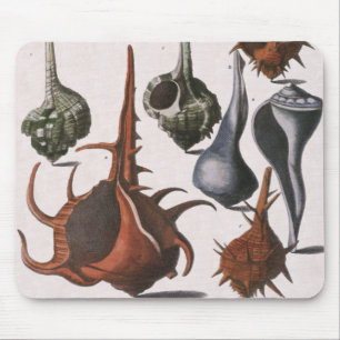 Vintage Muscheln, Meereslebewesen Muscheln Mousepad