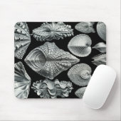 Vintage Muscheln Mousepad Ernst Haeckel (Mit Mouse)