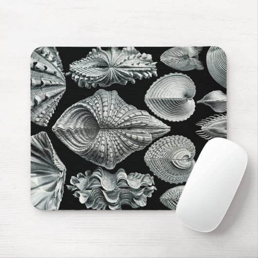 Vintage Muscheln Mousepad Ernst Haeckel (Mit Mouse)