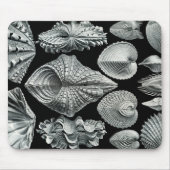 Vintage Muscheln Mousepad Ernst Haeckel (Vorne)