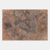 Vintage Muscheln Ocean Beach Brown Dekoupage Geschenkpapier Set (Vorderseite 2)