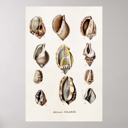 Vintage Muscheln Personalisiert Retro Berge Musche Poster (Vorne)