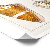 VINTAGE MUSCHELN POSTER (Ecke)