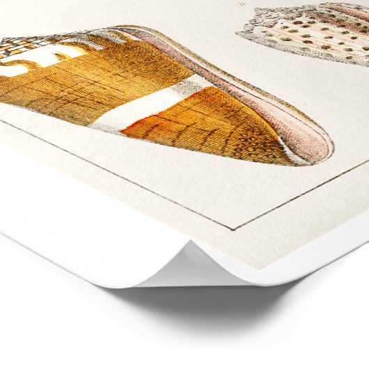 VINTAGE MUSCHELN POSTER (Ecke)