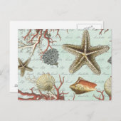 Vintage Muscheln...Postkarte Postkarte (Vorne/Hinten)