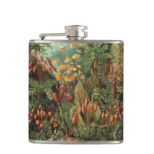 Vintage Muscinae, Moospflanzen von Ernst Haeckel Flachmann