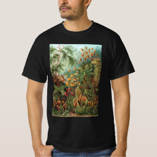 Vintage Muscinae, Moospflanzen von Ernst Haeckel T-Shirt