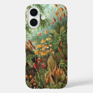 Vintage Muscinae, Moss-Pflanze von Ernst Haeckel iPhone 16 Hülle