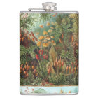 Vintage Muscinae, Moss-Pflanze von Ernst Haeckel