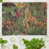 Vintage Muscinae, Moss-Pflanze von Ernst Haeckel Geschirrtuch (Gefaltet)