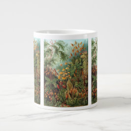 Vintage Muscinae, Moss-Pflanze von Ernst Haeckel Jumbo-Tasse