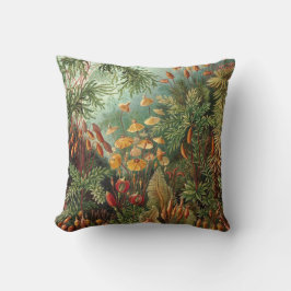 Vintage Muscinae, Moss-Pflanze von Ernst Haeckel Kissen