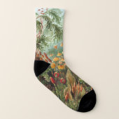 Vintage Muscinae, Moss-Pflanze von Ernst Haeckel Socken (Links - Innen)