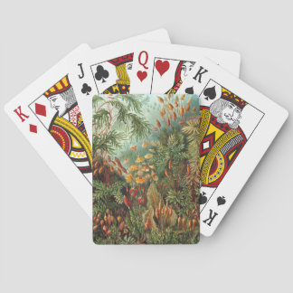 Vintage Muscinae, Moss-Pflanze von Ernst Haeckel Spielkarten