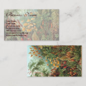 Vintage Muscinae, Moss-Pflanze von Ernst Haeckel Visitenkarte (Vorne/Hinten)