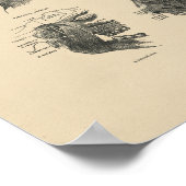 Vintage Muscles Anatomy 1880 Print Poster (Ecke)