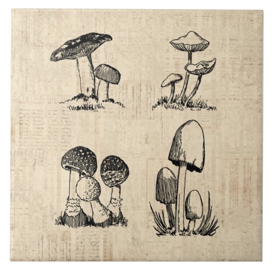 Vintage Mushroom Art Illustration Fliese (Vorderseite)