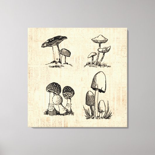 Vintage Mushroom Art Illustration Leinwanddruck (Vorderseite)