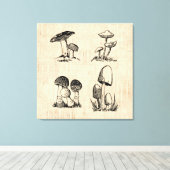 Vintage Mushroom Art Illustration Leinwanddruck (Insitu (Holzboden))