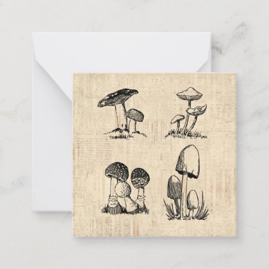 Vintage Mushroom Art Illustration Mitteilungskarte (Vorderseite)