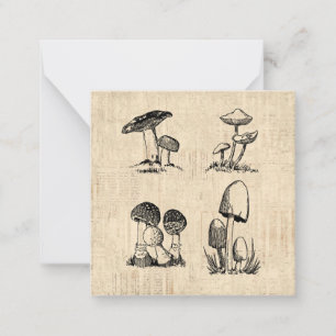 Vintage Mushroom Art Illustration Mitteilungskarte