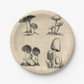Vintage Mushroom Art Illustration Pappteller (Vorderseite)