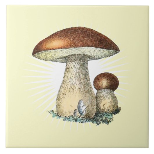 Vintage Mushroom Art Keramik Tile Fliese (Vorderseite)