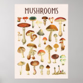 Vintage Mushroom-Chart Poster (Vorne)