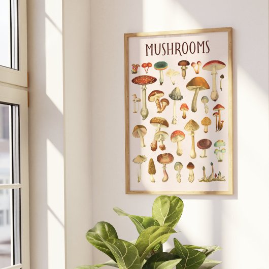 Vintage Mushroom-Chart Poster