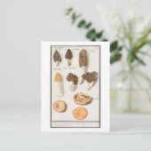 Vintage Mushroom-Illustration Postkarte (Stehend Vorderseite)