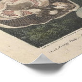 Vintage Mushroom Scientific Journal Art Poster (Ecke)