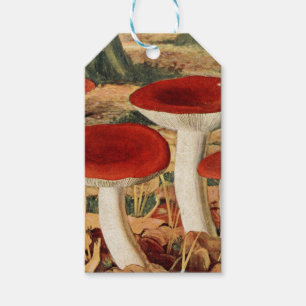 Vintage Mushroom Scrapbook Gift Tags Geschenkanhänger