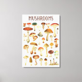 Vintage Mushroom-Übersicht Leinwanddruck (Vorderseite)