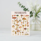 Vintage Mushroom-Übersicht Postkarte (Stehend Vorderseite)