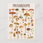 Vintage Mushroom-Übersicht Postkarte (Vorderseite)