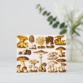 Vintage Mushroom-Varieté-Vorlage für 1800 Postkarte (Stehend Vorderseite)